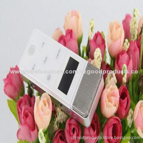 MP3 Player, Karaoke Microphone, Supports FM Radio/Voice Record/U-disk and More/Multi-point Function